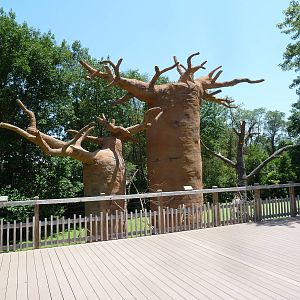 Expedition Madagascar - Ring-Tailed Lemur Exhibit