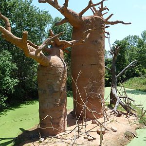 Expedition Madagascar - Ring-Tailed Lemur Exhibit