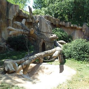 Gorilla Exhibit