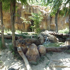 Gorilla Exhibit