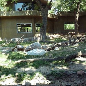 Yellow-Backed Duiker/Abyssinian Ground Hornbill/Crowned Crane Exhibit