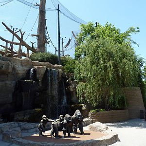Gorilla Statues + Bornean Orangutan/Siamang Exhibit