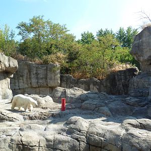 Oceans - Polar Bear Exhibit