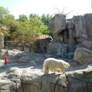 Oceans - Polar Bear Exhibit