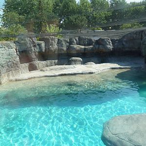 Oceans - Walrus/California Sea Lion Exhibit