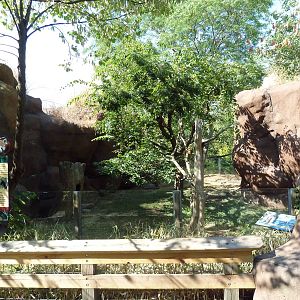 Forests - Red Panda/Reeves Muntjac Exhibit
