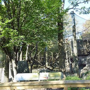 White-Handed Gibbon/Small-Clawed Otter Exhibit