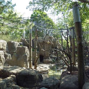 White-Handed Gibbon/Small-Clawed Otter Exhibit
