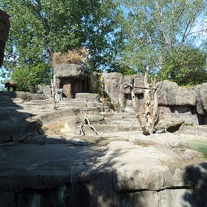 Grizzly Bear Exhibit