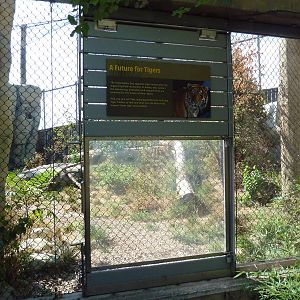 Tiger Forest - Training Wall