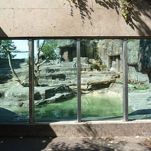 Grizzly Bear Exhibit