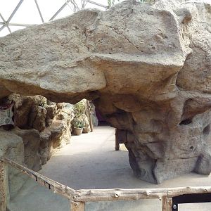 Deserts - Visitor Walkway