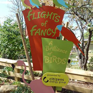 Flights of Fancy: A Brilliance of Birds (2012 Addition)