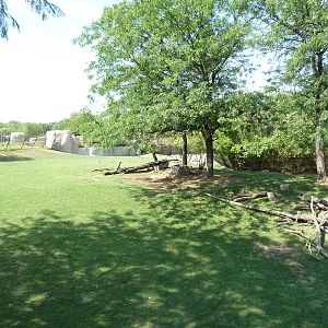 African Savanna (6 Species)