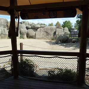 White Rhino Exhibit