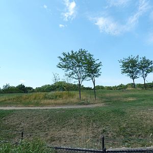 African Elephant Exhibit