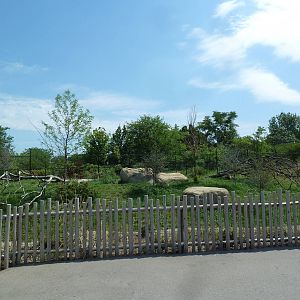 Cheetah Exhibit