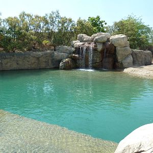 African Elephant Pool
