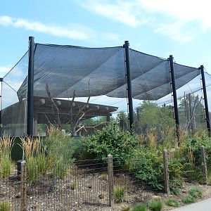 Mixed-Species Exhibit (4 Species)