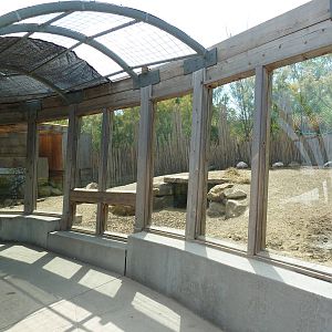 African Crested Porcupine/Warthog Exhibit