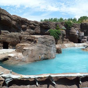 Grey Seal/Harbour Seal/California Sea Lion Exhibit