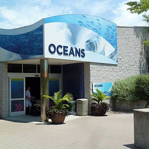 Oceans - Entrance