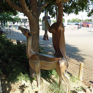 Gerenuk Statues