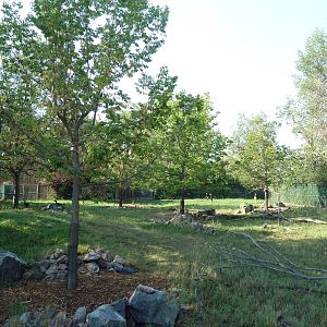 Gerenuk/African Crowned Crane/Abyssinian Ground Hornbill Exhibit