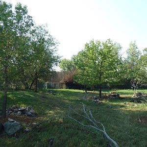 Gerenuk/African Crowned Crane/Abyssinian Ground Hornbill Exhibit