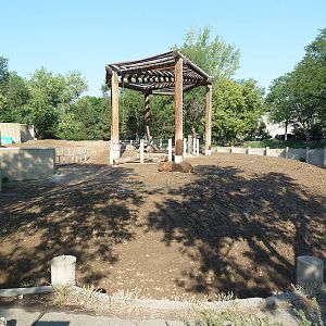 Old Asian Elephant Exhibit - Future Black Rhino/Nile Hippo Exhibit