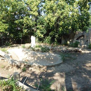 Old Malayan Tapir Exhibit - Future Black Rhino/Nile Hippo Exhibit