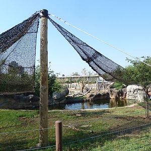 Toyota Elephant Passage - Malayan Tapir Exhibit