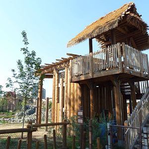 Toyota Elephant Passage - Rotational Exhibit Overlook