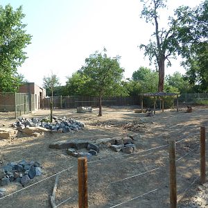 Common Eland Exhibit