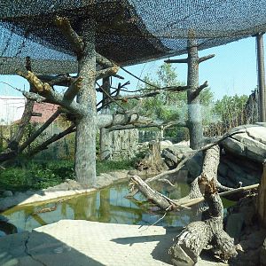 Toyota Elephant Passage - Clouded Leopard Exhibit