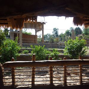 Toyota Elephant Passage - Rotational Exhibit (Granary Viewing)