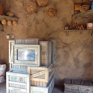 Toyota Elephant Passage - Rotational Exhibit (Granary)