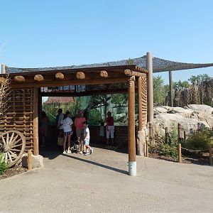 Toyota Elephant Passage - Clouded Leopard Exhibit