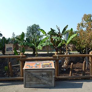 Toyota Elephant Passage - Rotational Exhibit Viewing Area