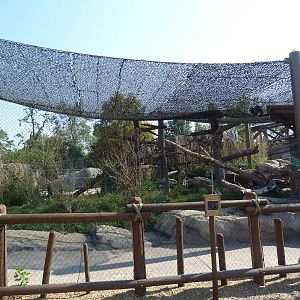 Toyota Elephant Passage - Clouded Leopard Exhibit