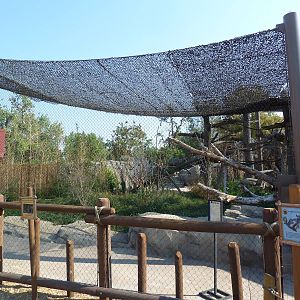 Toyota Elephant Passage - Clouded Leopard Exhibit