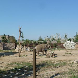 Toyota Elephant Passage - Rotational Exhibit