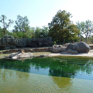 Toyota Elephant Passage - Rotational Exhibit