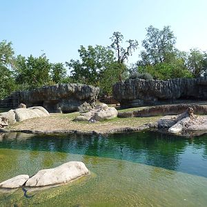 Toyota Elephant Passage - Rotational Exhibit