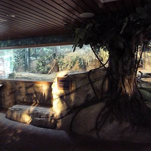 Toyota Elephant Passage - Fishing Cat Exhibit