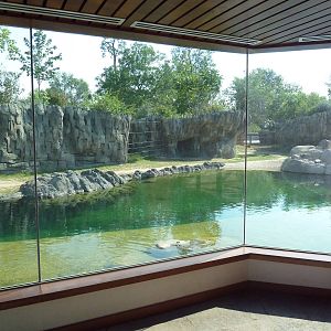 Toyota Elephant Passage - Rotational Exhibit