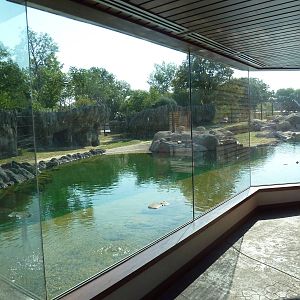 Toyota Elephant Passage - Rotational Exhibit