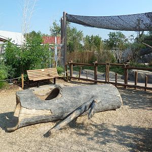 Toyota Elephant Passage - Clouded Leopard Exhibit (Play Area Log)
