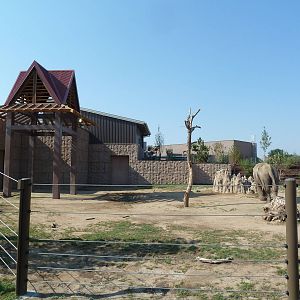 Toyota Elephant Passage - Rotational Exhibit