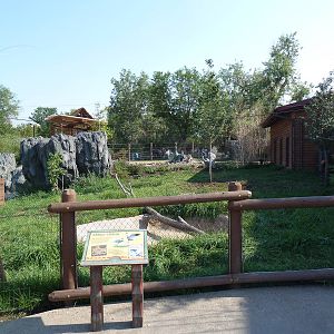 Toyota Elephant Passage - Sarus Crane Exhibit